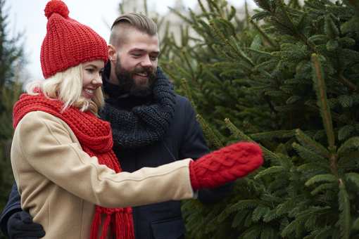 9 Best Christmas Tree Farms in Alabama!