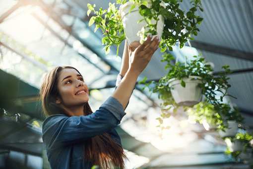 7 Best Garden Centers and Nurseries in Alabama!